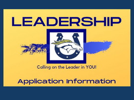  Leadership Application
